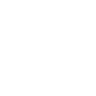 ̹